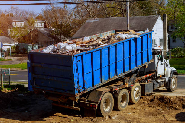 Best Shed Removal  in Luna Pier, MI