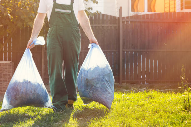 Best Recycling Services for Junk  in Luna Pier, MI